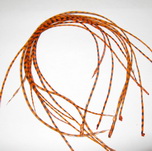 ���� Dry Fly (��� ����� ���) 10 �� ������ ���������  , ������ � 14-16